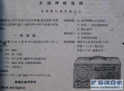 一本国产在线,创新驱动，引领数字生活新潮流