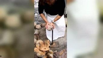 国产椰子哥在线观看,在线观看，感受椰风海韵的魅力