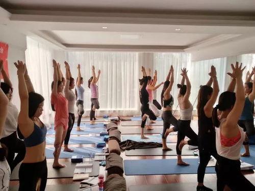 播放国产瑜伽在线视频,国产瑜伽在线视频带你领略身心和谐之美