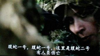 国产电影蝮蛇在线播放,在线播放揭示致命危机