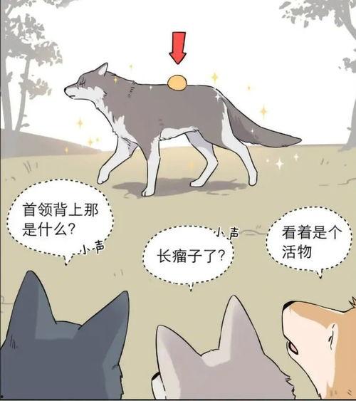 小奶狗国产动漫在线播放,国产动漫的甜蜜萌宠，在线播放带你进入梦幻世界