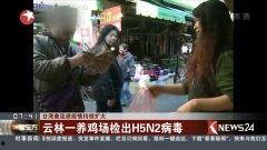 国产h高清在线视频观看