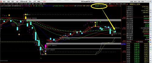 国产系列在线看图,探索视觉盛宴的国产佳作之旅