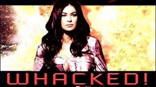 正义使者国产电视剧在线播放,国产电视剧在线播放，正义之光照亮黑暗角落