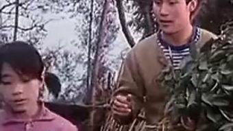 国产电影粤语歌在线观看,国产电影粤语歌在线盛宴